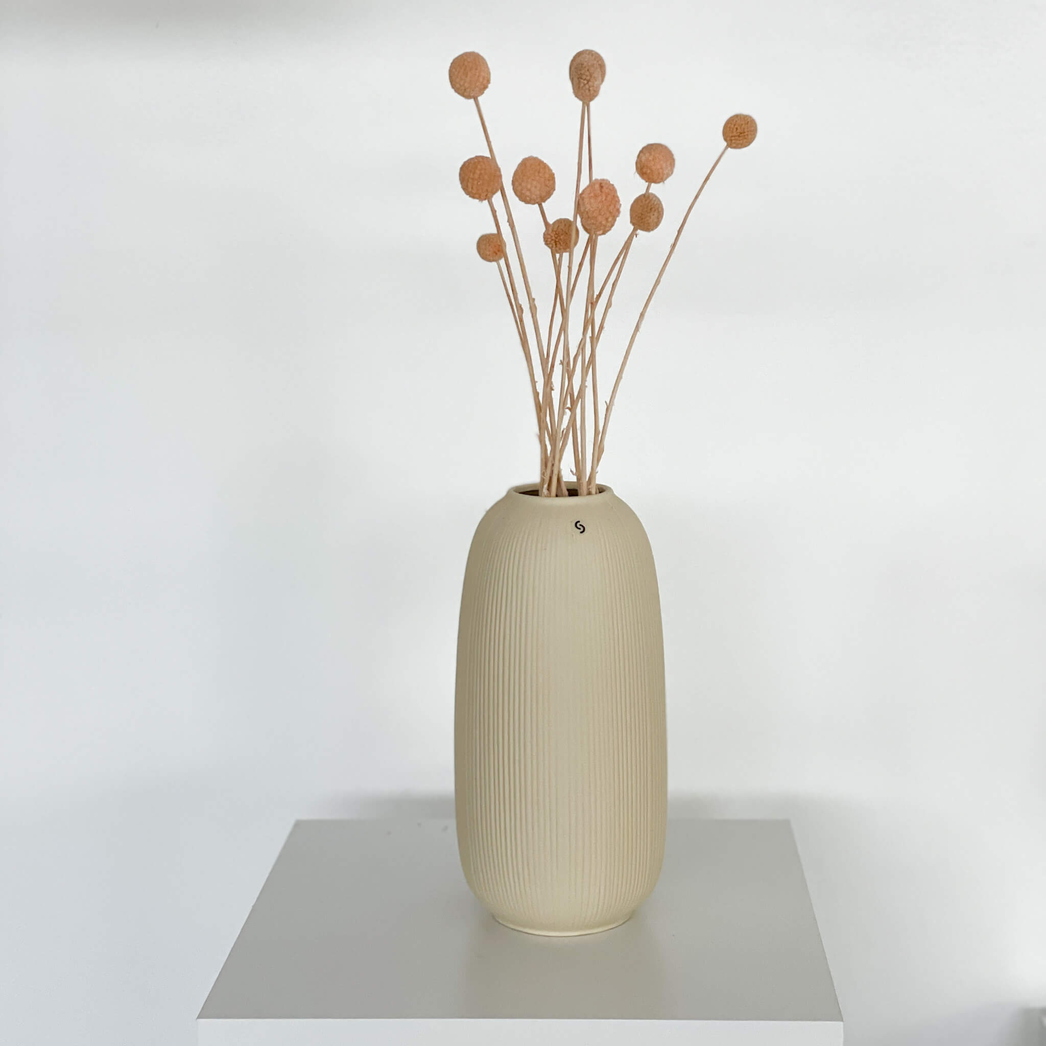 Farbe: apricot