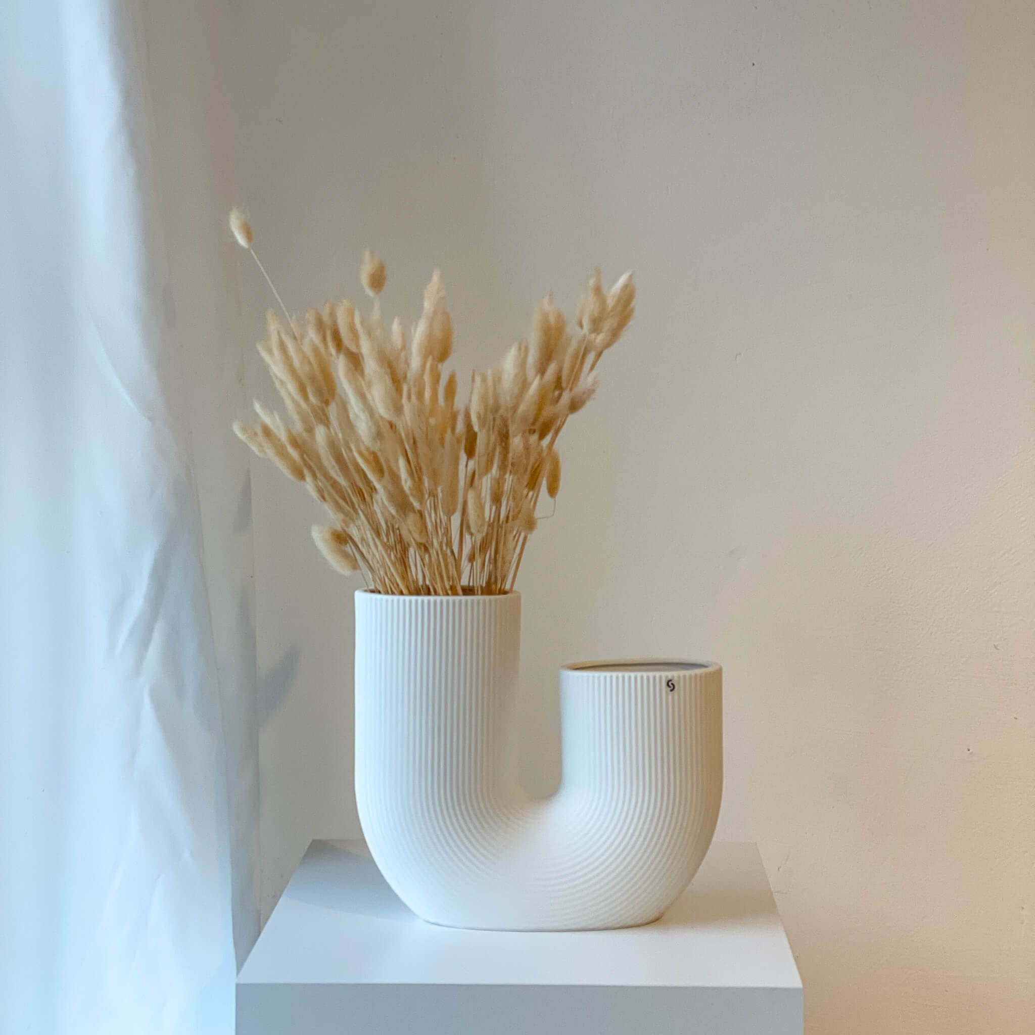 Lagurus (Samtgras) | 70 cm | viele Farben | für Trockenblumensträuße - Farbe: beige