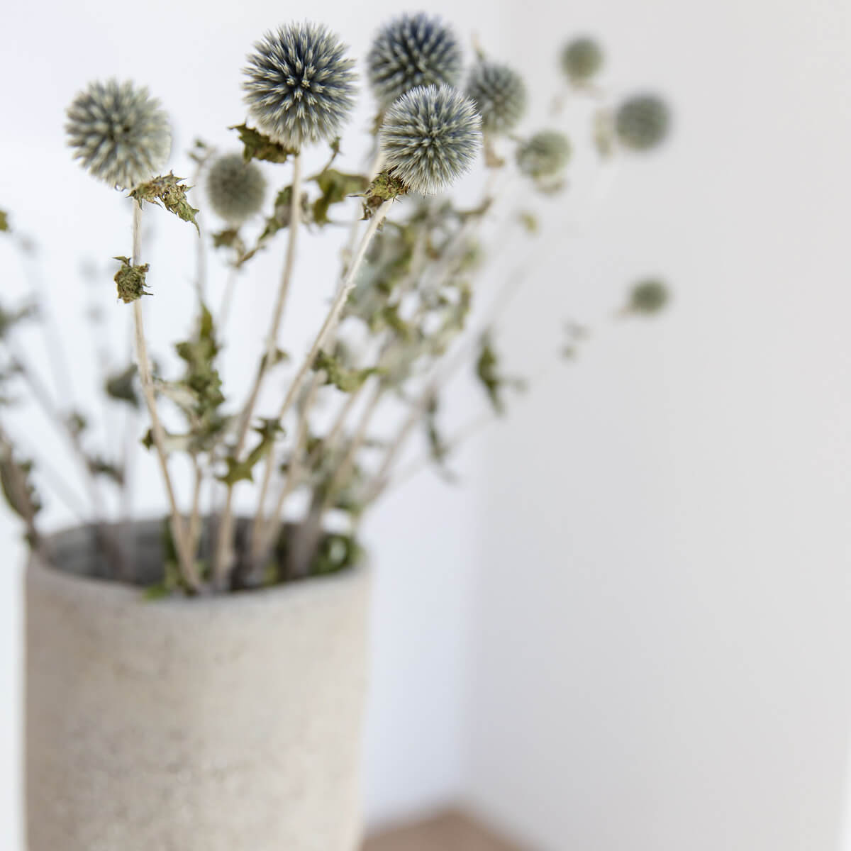 Kugeldistel - Lykke&You GmbH