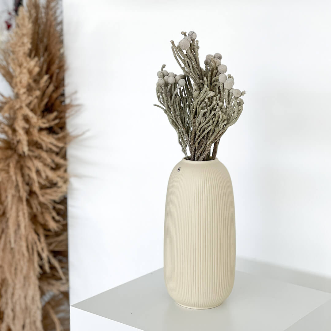 Brunia Albiflora - Lykke&You GmbH