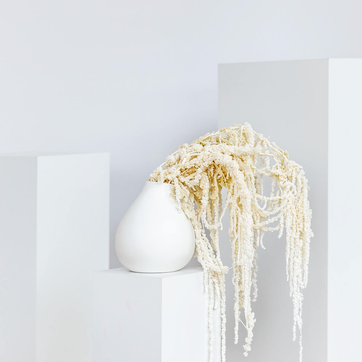 Amaranthus Stiele - Lykke&You GmbH