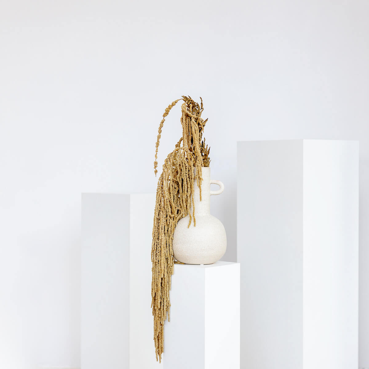 Amaranthus Stiele - Lykke&You GmbH