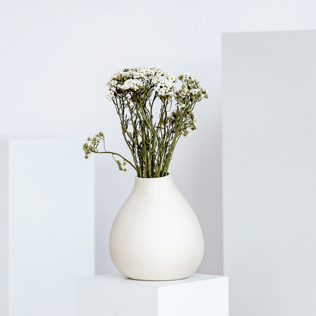 Gänseblümchen Daisy - Lykke&You GmbH