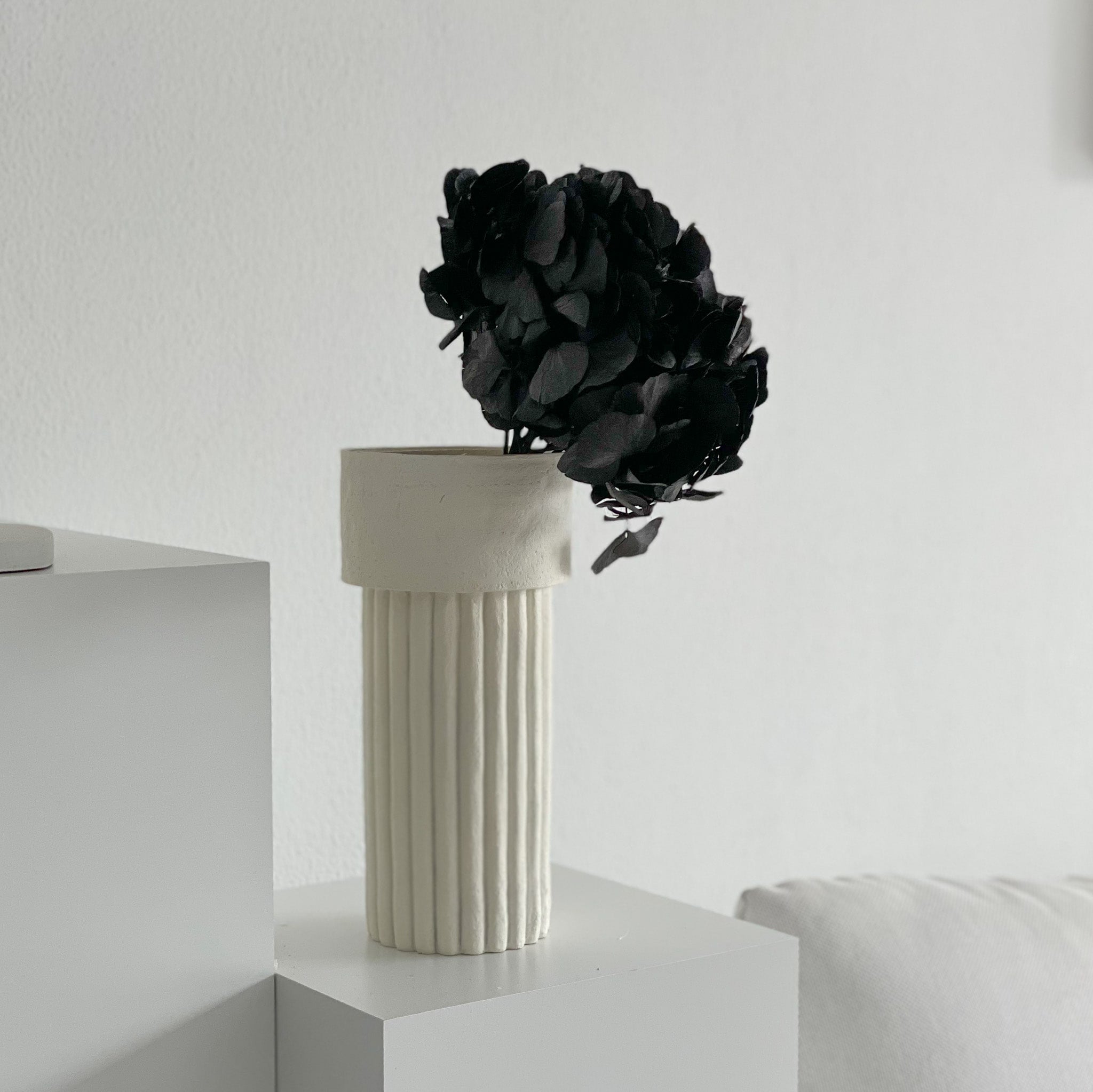 Hortensien konserviert | viele Farben | tolle Blüte | 30cm - Farbe:  schwarz
