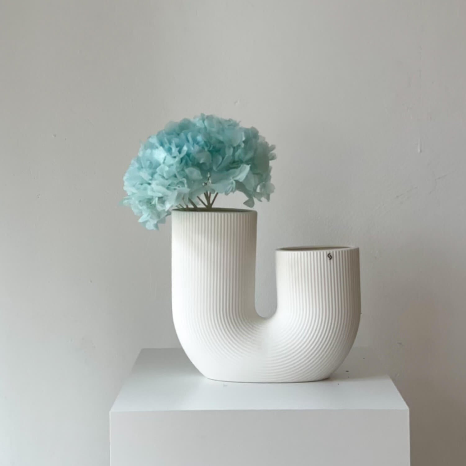 Hortensien konserviert | viele Farben | tolle Blüte | 30 cm - Farbe: blau