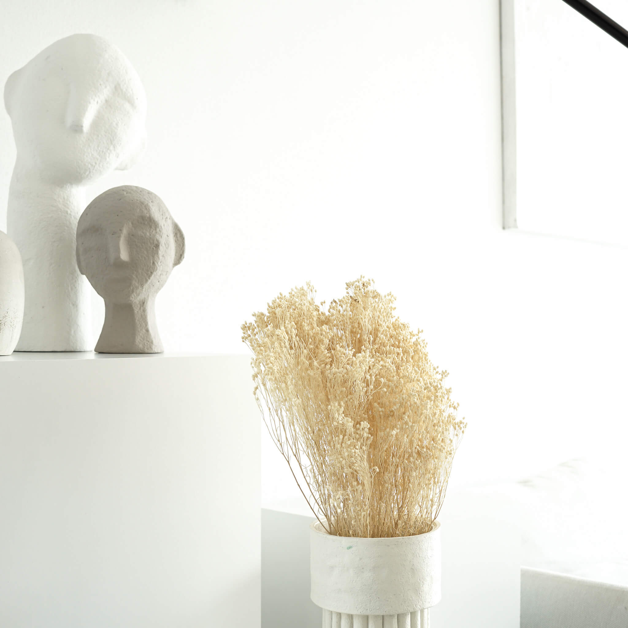 Broom Bloom | 40-50 cm | - Farbe: weiß