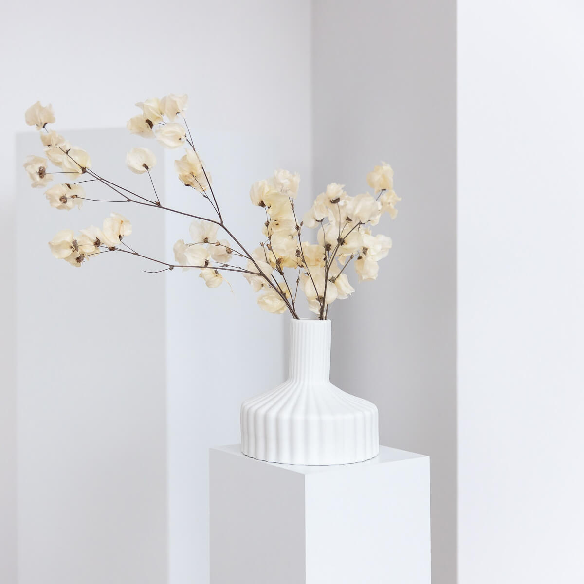 Bougainvillea I Drillingsblume - Lykke&You GmbH