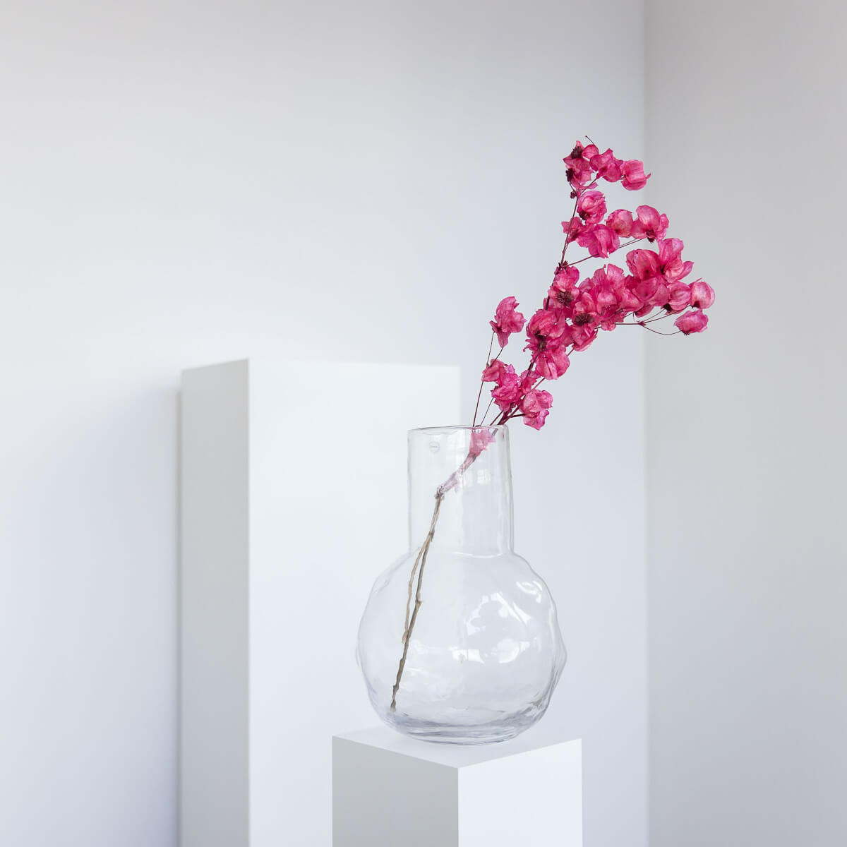 Bougainvillea I Drillingsblume - Lykke&You GmbH